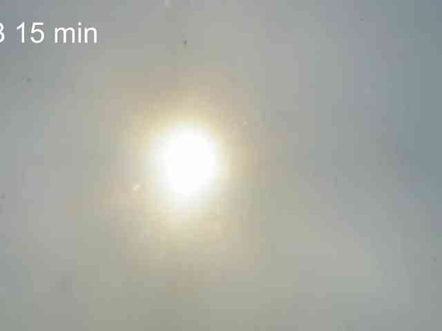 OhMyKosh webcam