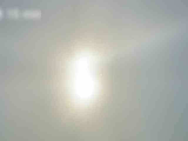 OhMyKosh webcam