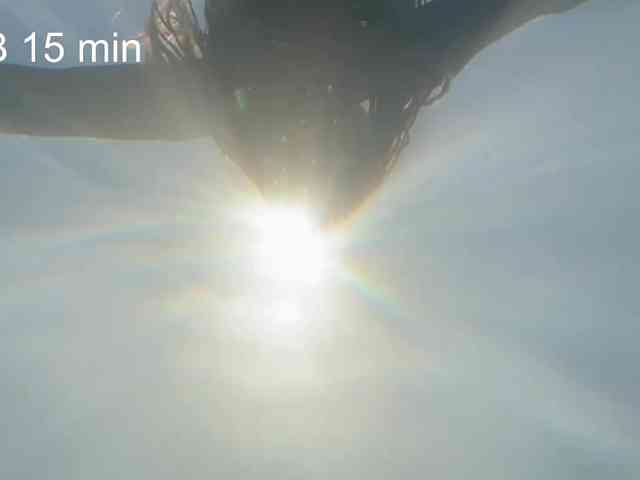 OhMyKosh webcam