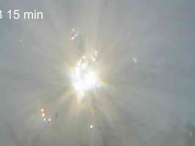 OhMyKosh webcam