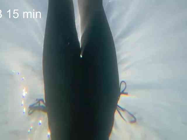 OhMyKosh webcam