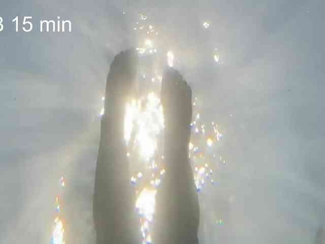 OhMyKosh webcam