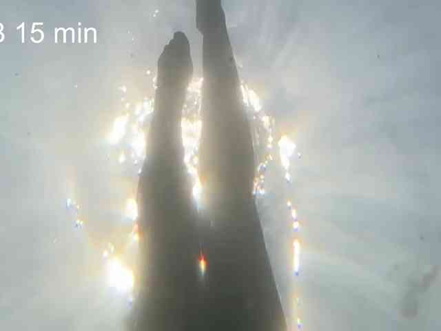 OhMyKosh webcam