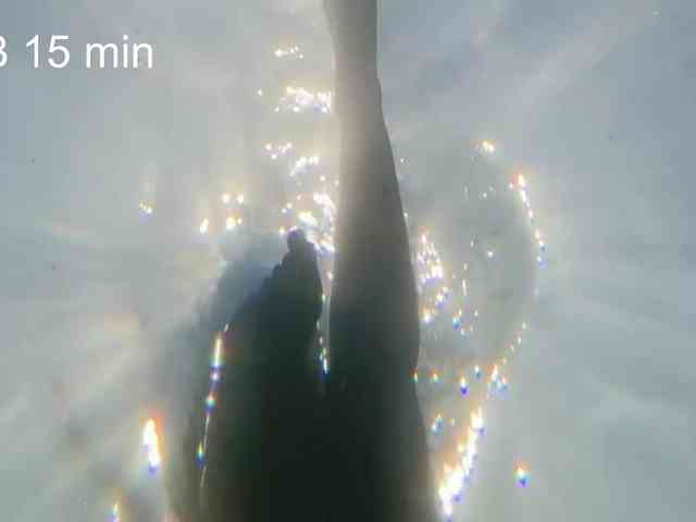 OhMyKosh webcam