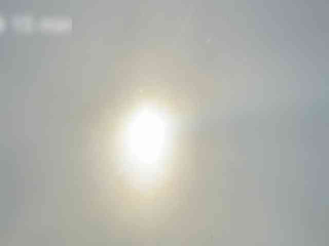 OhMyKosh webcam