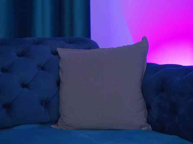 DeniseDevilles webcam