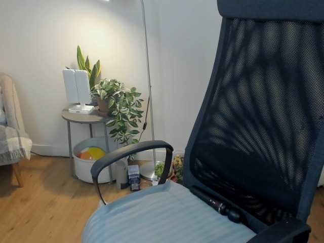 summerevans, en vivo ahora en BongaCams