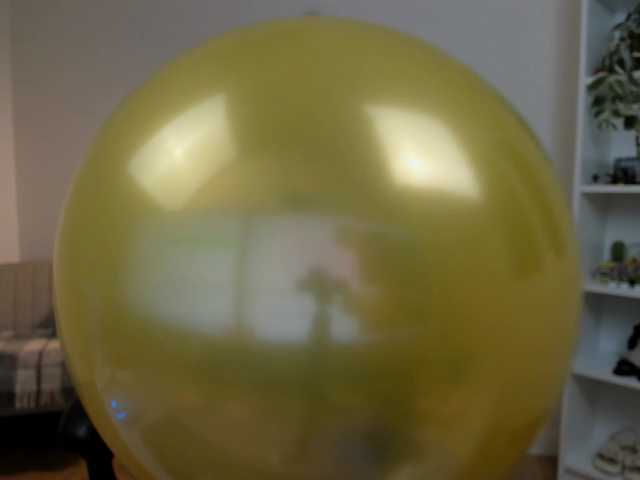 Preview of summerevans