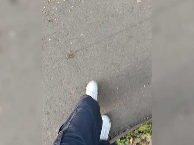 Wolfensteinn