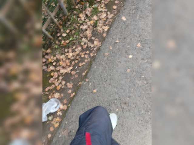 Wolfensteinn