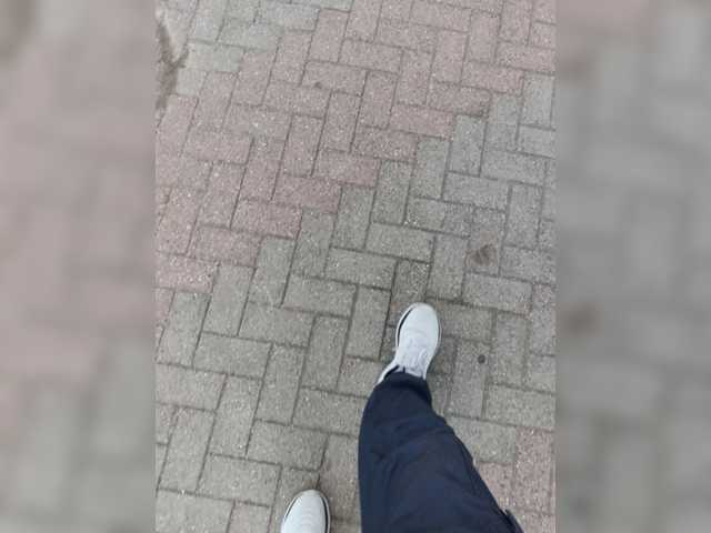 Wolfensteinn