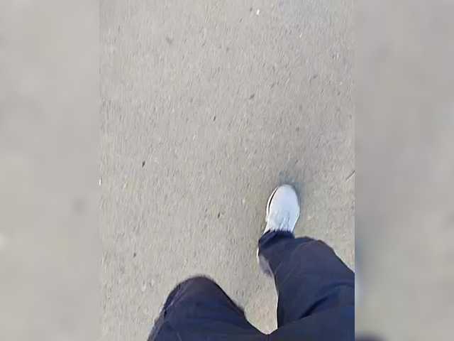 Wolfensteinn