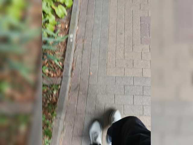 Wolfensteinn