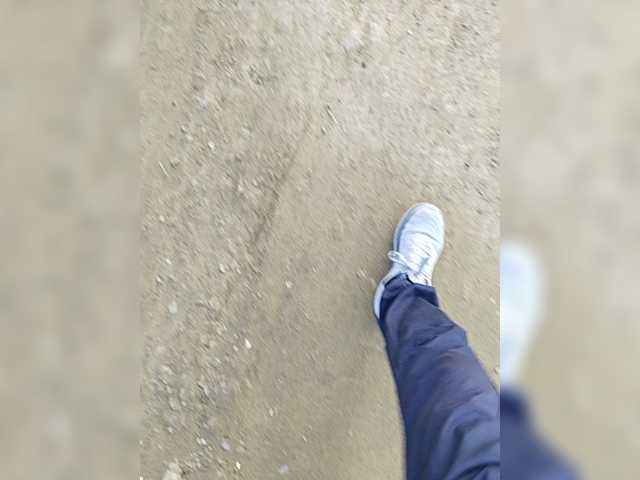 Wolfensteinn