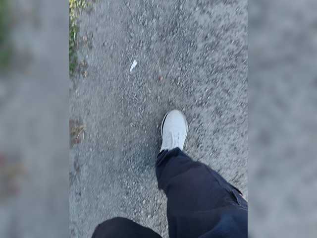 Wolfensteinn