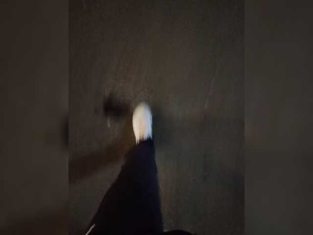 Wolfensteinn