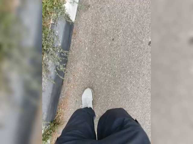 Wolfensteinn
