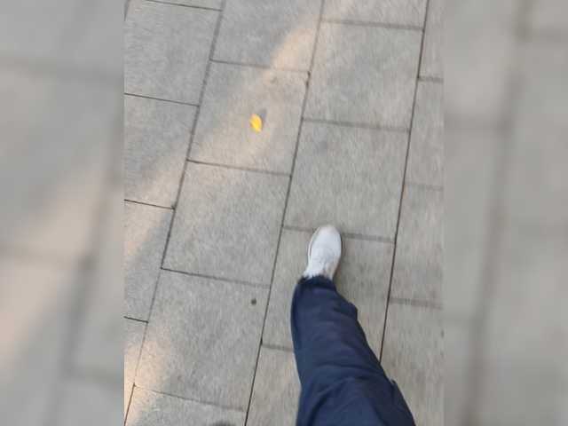 Wolfensteinn