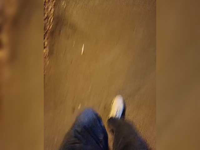 Wolfensteinn