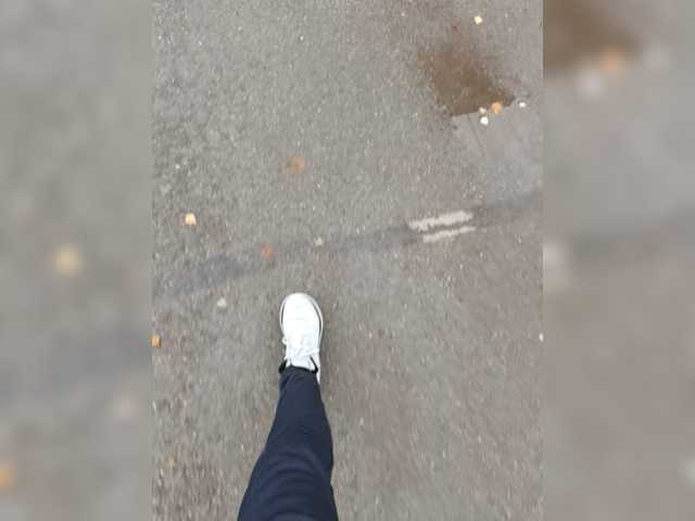 Wolfensteinn