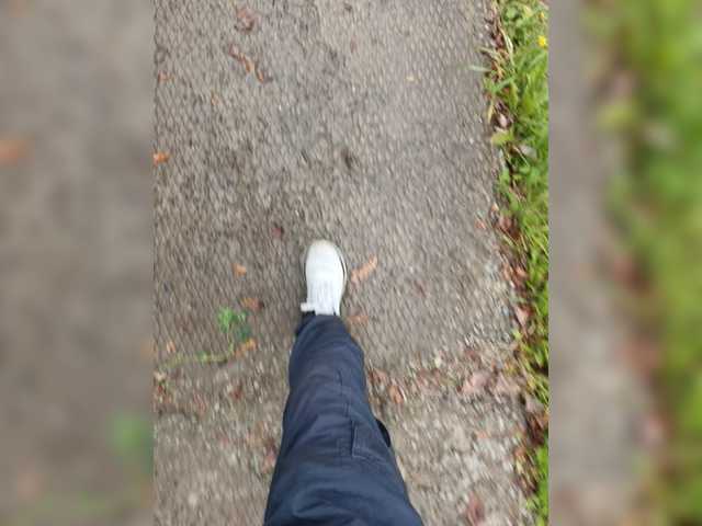 Wolfensteinn