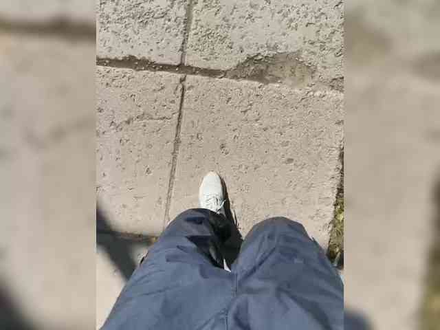 Wolfensteinn