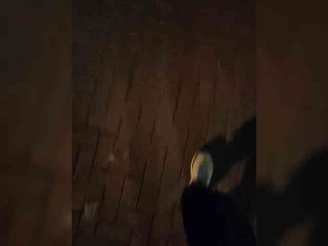 Maks-schatalinn