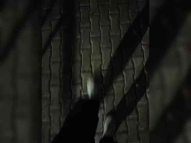 Maks-schatalinn