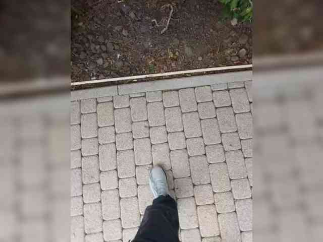 Maks-schatalinn