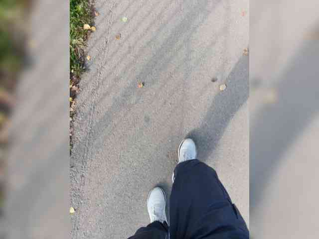 Maks-schatalinn