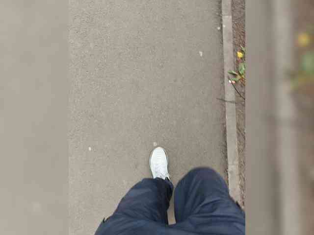 Maks-schatalinn