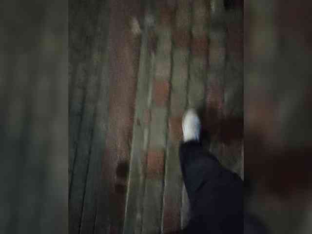 Maks-schatalinn