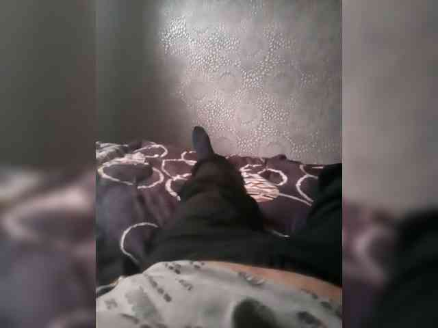 Dimon0077