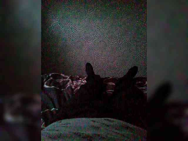 Dimon0077