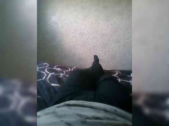 Dimon0077
