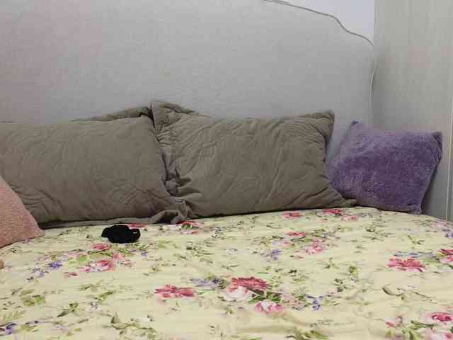 maddalena webcam