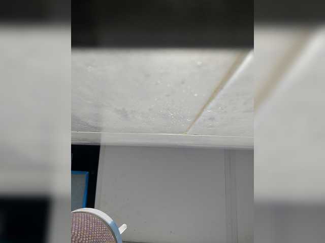 Bogina2 live webcam show