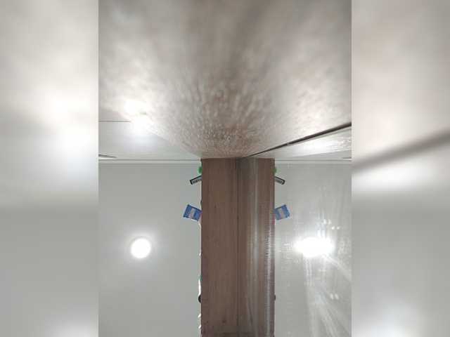 Bogina2