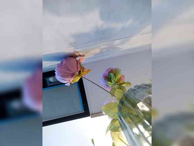 AngelDolores webcam