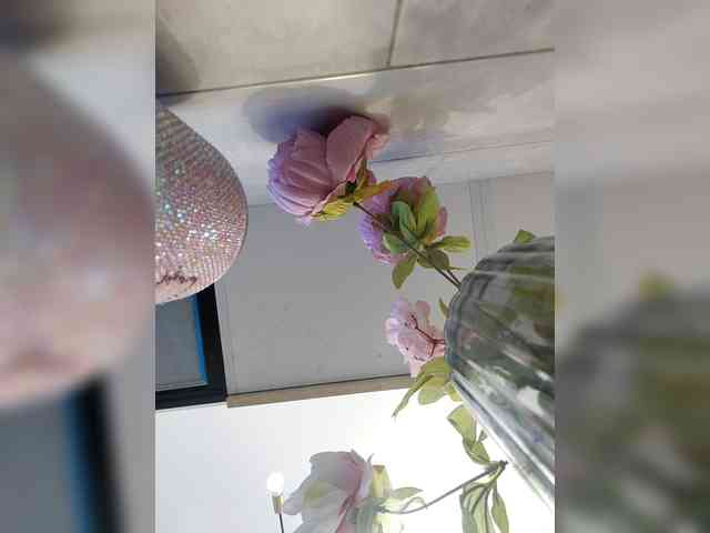 AngelDolores webcam