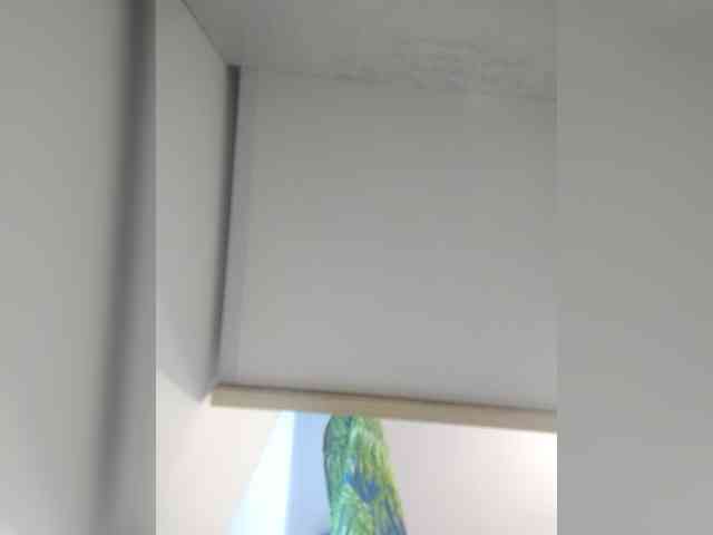 Bogina2 webcam