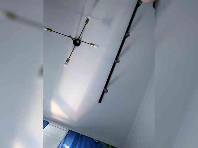 Model: Bogina2
