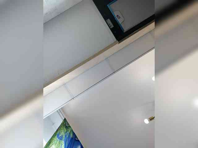 bogina2's live room