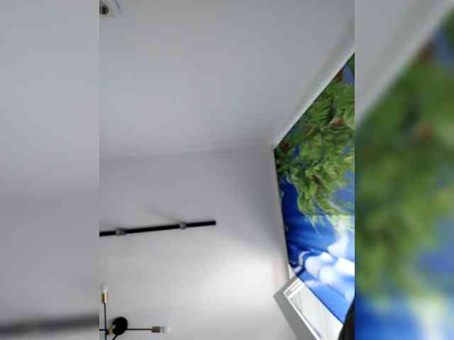 Bogina2 webcam