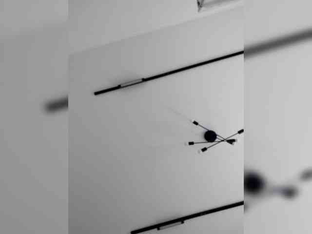 AngelDolores webcam
