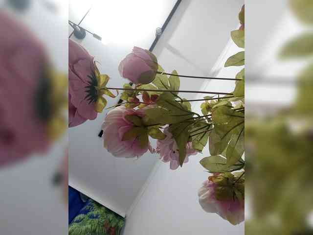AngelDolores webcam