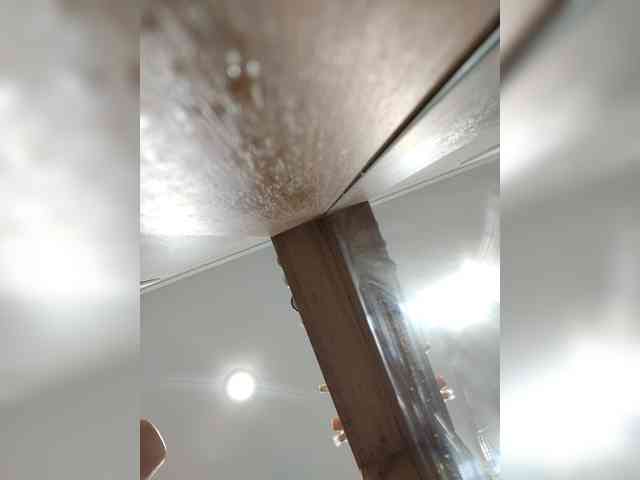 Bogina2 webcam