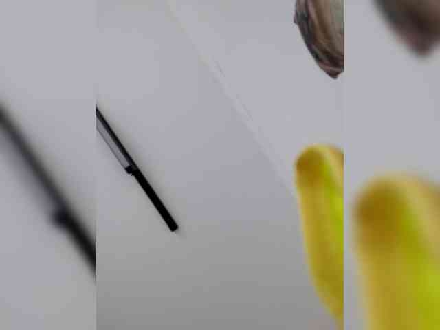 Bogina2 webcam