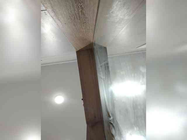 LuxeAngel webcam
