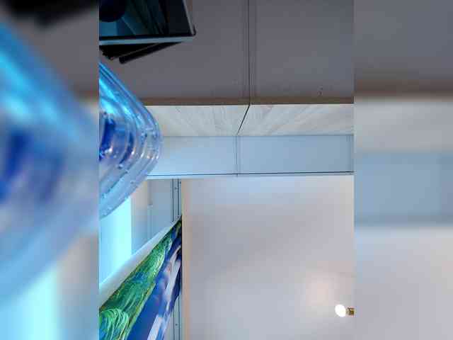 AngelDolores webcam